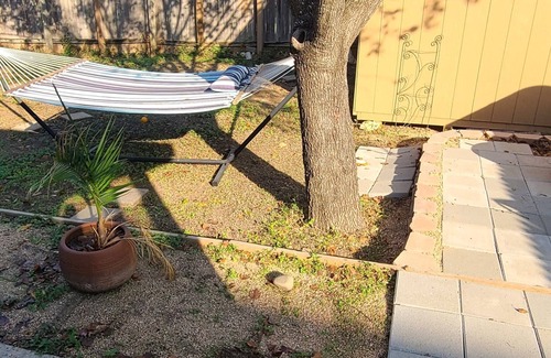 Hillcrest House | Cozy family Getaway close to Downtown Austin /South Bars/Hiking Biking
