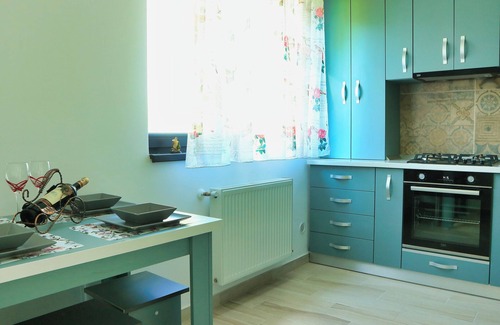 Tractorul Apartment | Cozy Flowers Studio Fast Wi-Fi and Washer-Dryer