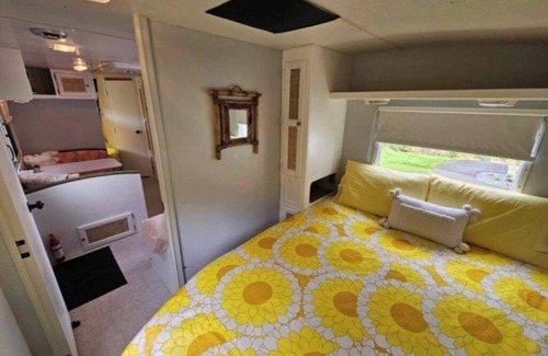 Lucasville House | Cozy Glamping Guesthouse with private yard, patio, firepit.
