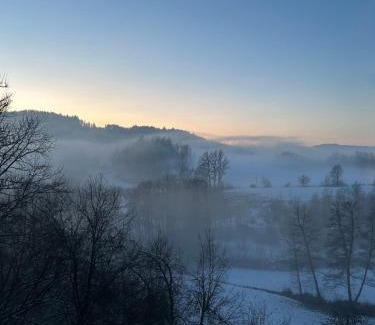 Krumpendorf am Woerther See Apartment | Cozy Home