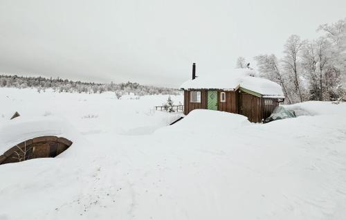 Kamben House | Cozy Home In Gol With Sauna