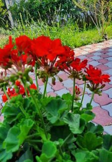 Alsorakos Apartment | Cozy House with Garden and FreeParking