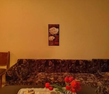Karlovo Apartment | Cozy little flat in Karlovo