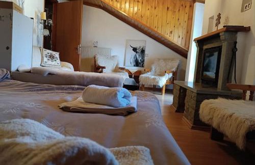 Metsovo Apartment | Cozy Loft with Fireplace & View