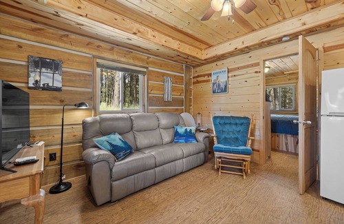 Custer Cabin | Cozy Log Cabin near Custer