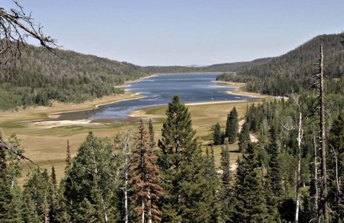 Meadow View Heights Cabin | Cozy log cabin located on half an acre in the trees
