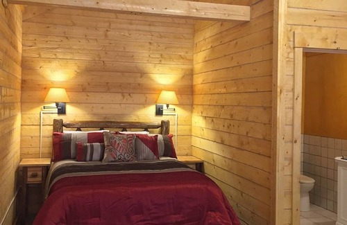 Healy Cabin | Cozy Lynx Log Cabin