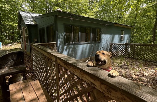 Kents Hill Cabin | Cozy Maine Cottage-A Nature Escape by the lake