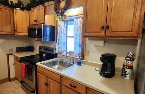 Champion Cabin | Cozy, Modern Cabin ~ Secluded Mountain Escape!