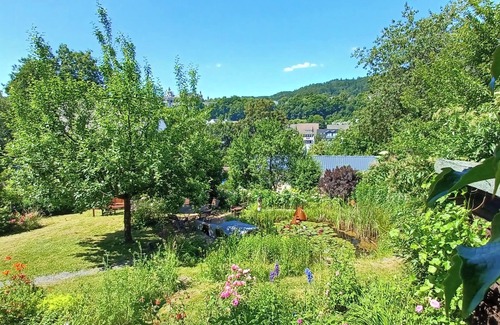 Bad Berleburg Apartment | Cozy, modern vacation apartment (38sqm) with garden