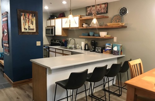 Frisco Condo | Cozy Mountainside, on Rec Path and Summit Stage, walk into Frisco