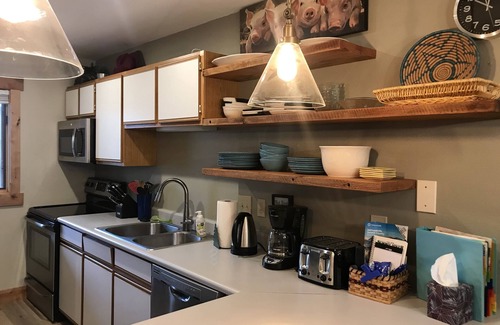Frisco Condo | Cozy Mountainside, on Rec Path and Summit Stage, walk into Frisco