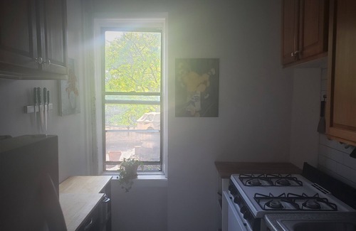 Ditmas Park Apartment | Cozy One-Bedroom down the block from Prospect Park!
