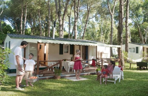 Baia Domizia Ski Chalet | Cozy Pine Forest Chalet