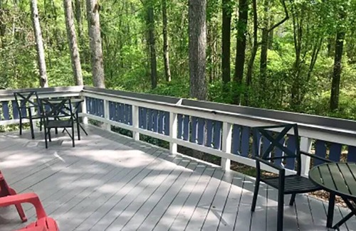 Pine Mountain Ski Chalet | Cozy Pine Mountain Chalet Minutes Away from Callaway Gardens