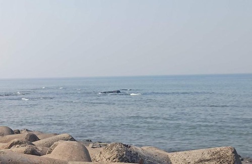 Ranwar Apartment | Cozy Private AC Studio by the Sea Bandstand Bandra W Mumbai nr Taj Lands End