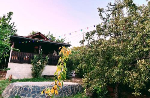 Kyustendil Other | Cozy Quiet Retreat 70km from Sofia