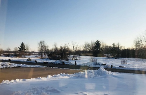 Larsen House | Cozy ranch home with quick, easy access to EAA, Oshkosh and Appleton airports.