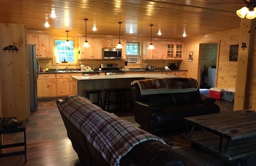 Old Forge Cabin | Cozy retreat: 1 mile from Old Forge. Close to all nature. Dog friendly.