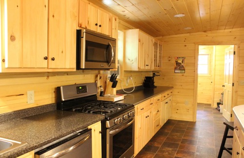 Old Forge Cabin | Cozy retreat: 1 mile from Old Forge. Close to all nature. Dog friendly.
