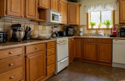 Ouray Condo | Cozy Retreat: Perfect for Couples! Fireplace, Mountain Views&High-Speed Internet