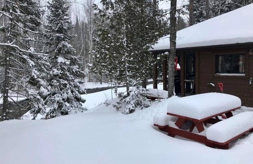 Ellis Township Cabin | Cozy river cabin, steps away from blue ribbon fishing hiking trails.