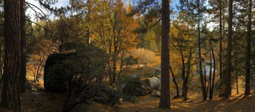 North Wawona House | Cozy Riverside Cabin Rental with Easy Access to Chilnualna Falls in California