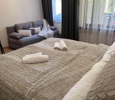 Borovets Apartment | Cozy Riverside Pine Studio E5