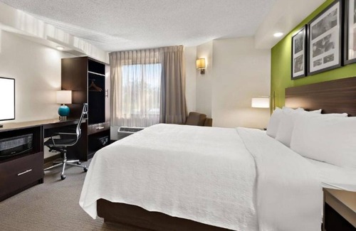 Wesley Chapel Hotel | Cozy Room Perfect for Exploring Wesley Chapel's Parks | Pool & Free Parking!