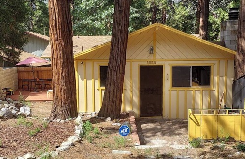 Forest Falls House | Cozy Rustic 1-bedroom mountain home with 2 fireplaces