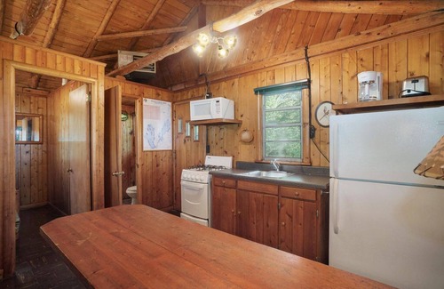 Cheboygan Cabin | Cozy, rustic log cabin on Mullett Lake #5