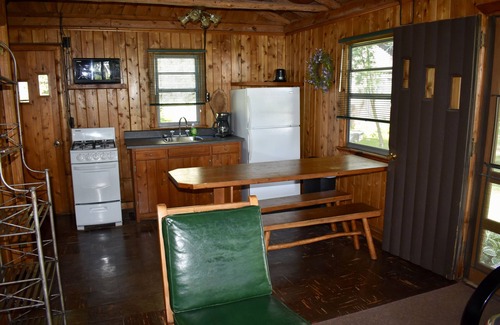 Cheboygan Cabin | Cozy, rustic log cabin on Mullett Lake #5