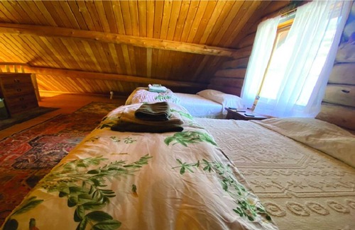 Dubois Cabin | Cozy Sagebrush Cabin - amazing views!