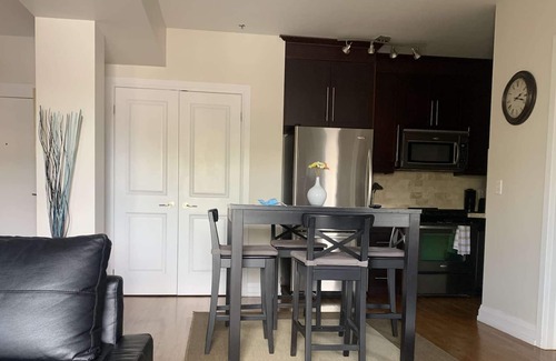 Midtown Toronto Apartment | Cozy & Spacious Comfortable Loft Suite + Free Parking