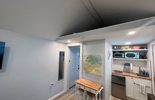 St. Petersburg - Clearwater Apartment | Cozy Steps2 Vinoy, Dali, Pier & Dtwn! patio+bikes