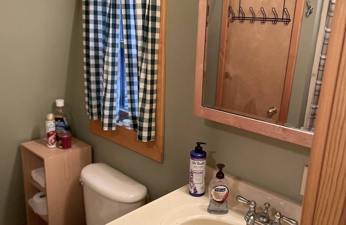 Brantingham Cabin | Cozy Stone House Cabin at Brantingham Lake! Pet Friendly!!