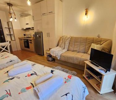 Samokov Apartment | Cozy Studio in Semiramida Gardens - Borovets Hills 39