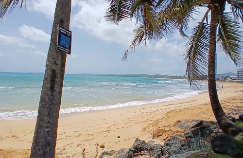 Ocean Park Apartment | Cozy studio steps from beautiful beaches!