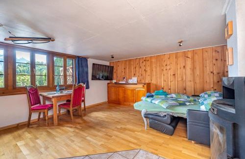 Reichenbach House | Cozy Studio With Terrace Bbq Mountain View