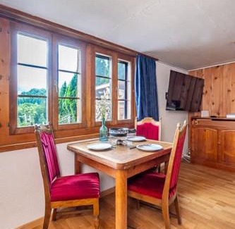 Reichenbach House | Cozy Studio With Terrace Bbq Mountain View