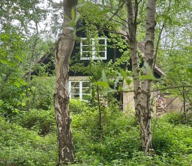 Skodshoved House | Cozy, Thatched Cottage With Modern Décor