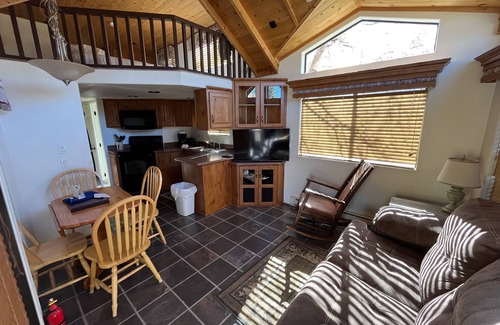 Almont Cabin | Cozy "Tiny Home" style Cabin Perfect for Couples and Families