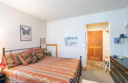 Telluride House | Cozy Tomboy Studio with private deck