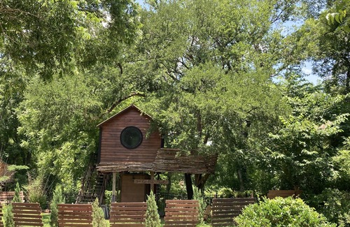 Willis House | Cozy Treehouse on Lake Conroe w/large nest deck with a creek view