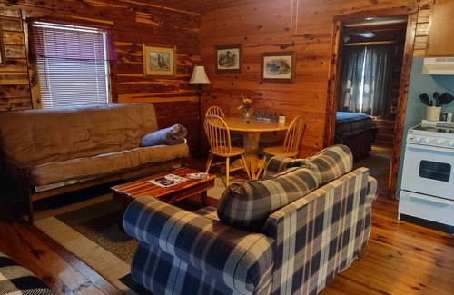 Mountain Pine House | COZY UNIT #3 WATERFRONT LOG CABIN