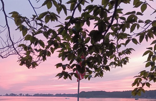 Pulaski House | Cozy waterfront house on beautiful South Sandy Pond - w/ a sunroom and 2 BR's.