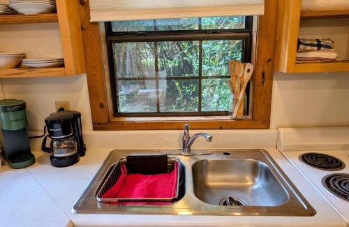 Montezuma Ski Chalet | Cozy woodland haven
