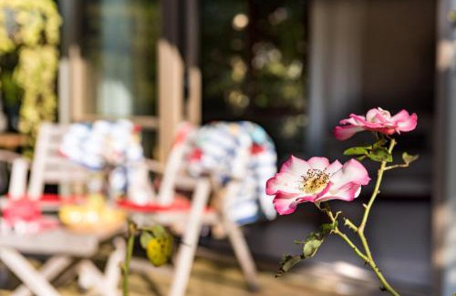 Paihia Apartment | Craicor Boutique Apartments