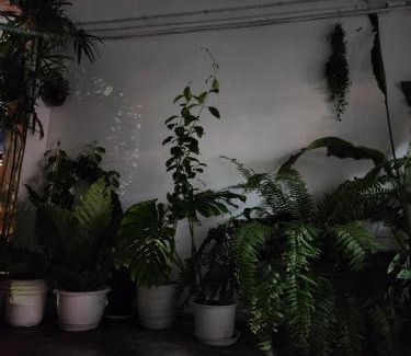 Chatuchak House | Creative Bangkok Balcony