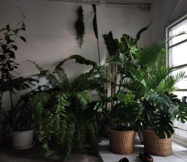 Chatuchak House | Creative Bangkok Balcony